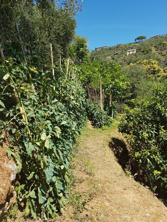 B&B Portofino 3*