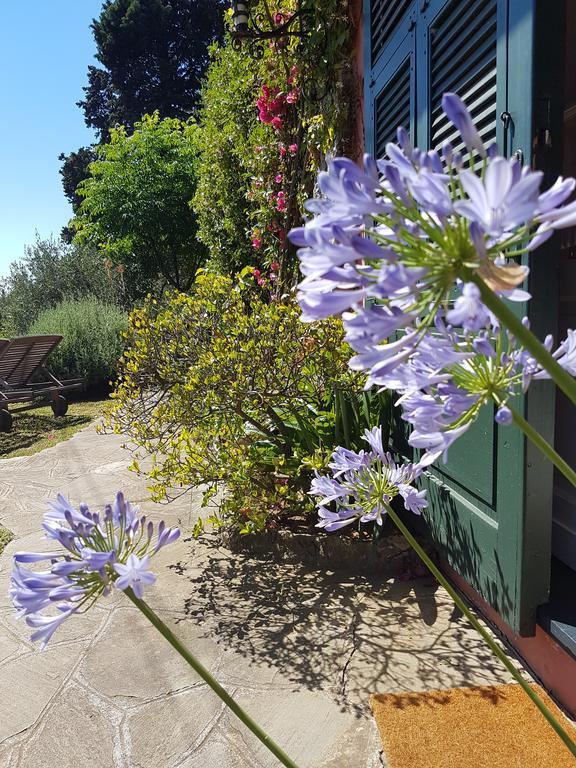 Bed & Breakfast B&B Portofino 3*